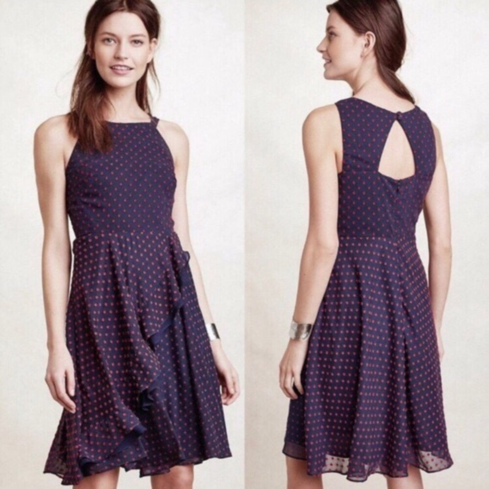 NWOT Anthropologie Ruffled Clipdot Dress